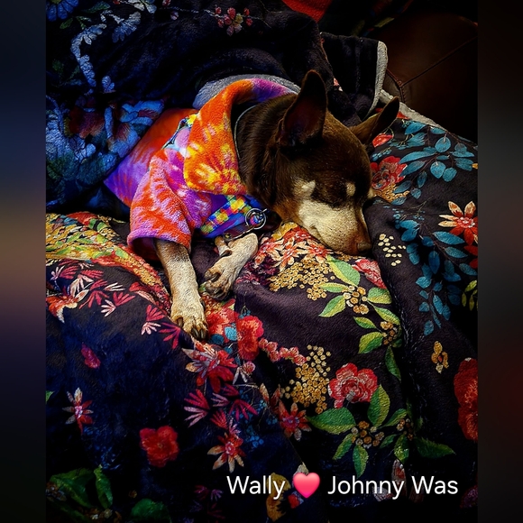 Johnny Was x Sundance Mila Embroidered Tunic Blouse Teal Blue Size Large EUC - Picture 11 of 14